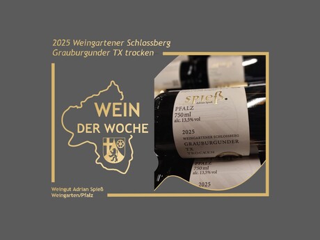 WeinderWoche_LWK_09072026